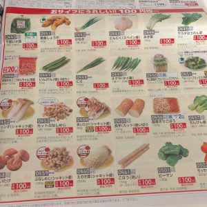 おうちコープ野菜100円均一